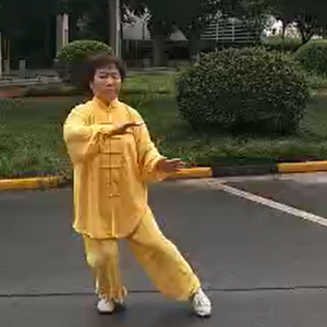 ѩʽͳ̫ȭ-ɽñĽ̫ȭƵƷ