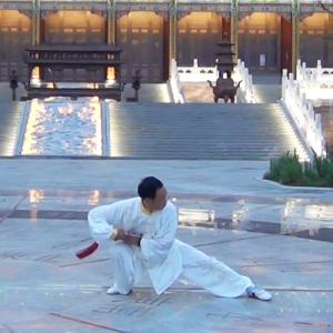 ʽ̫ȭ ʽ̫-ɽñĽ̫ȭƵƷ