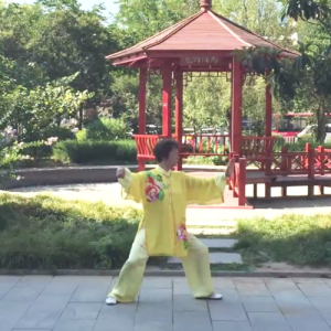 Ʒܿ42ʽ̫ȭ-ɽñĽ̫ȭƵƷ