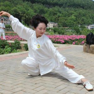 ߻ͳϾѡ28ʽ-ɽñĽ̫ȭƵƷ