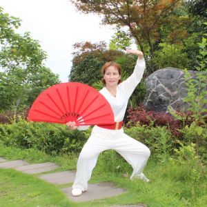 ذ̫ ̫-ɽñĽ̫ȭƵƷ