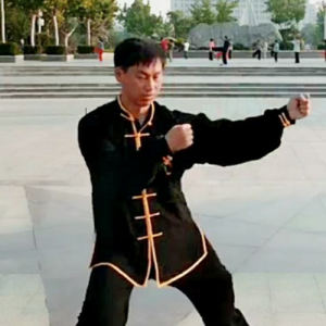 Ʒʽ֣̫ȭ37ʽ-ɽñĽ̫ȭƵƷ