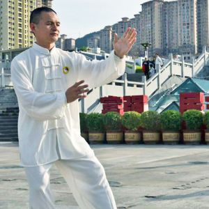 ƽͳϾѡ28ʽ-ɽñĽ̫ȭƵƷ