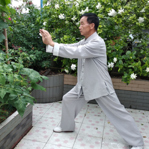 37ʽϴͳ̫ȭ-ɽñĽ̫ȭƵƷ