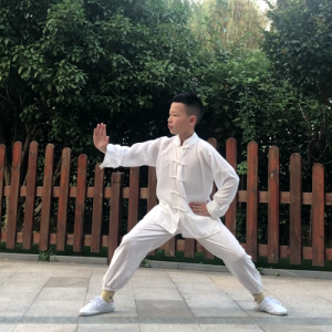 ʽ̫ȭ-ɽñĽ̫ȭƵƷ