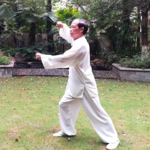 ǿλȭε-ɽñĽ̫ȭƵƷ