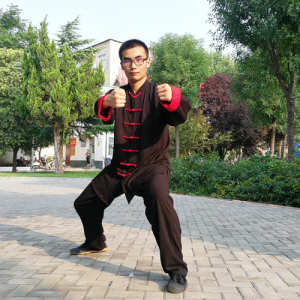 űԳʽ̫ȭ-ɽñĽ̫ȭƵƷ