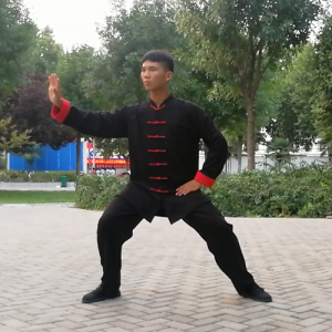 ΰʽ̫ȭ-ɽñĽ̫ȭƵƷ