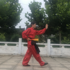 žǬ¡ -ɽñĽ̫ȭƵƷ