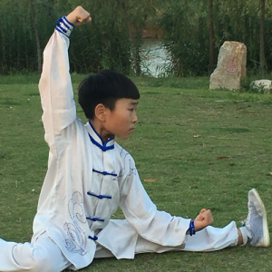 ӽܳʽ̫ȭ-ɽñĽ̫ȭƵƷ