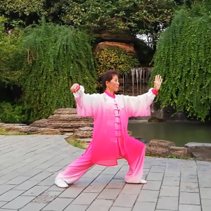 λʮʽ̫ȭ-ɽñĽ̫ȭƵƷ