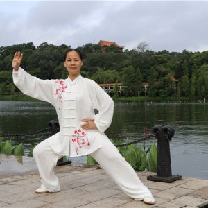 Ӣʽ̫ȭϼһ·-ɽñĽ̫ȭƵƷ