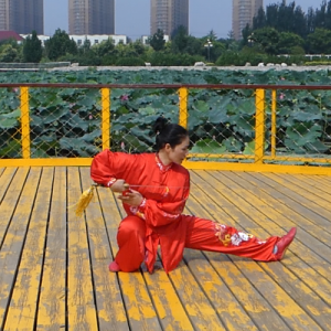 ϼ49 ̫ȭ-ɽñĽ̫ȭƵƷ