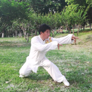 Զϲʽ49ʽ̫-ɽñĽ̫ȭƵƷ