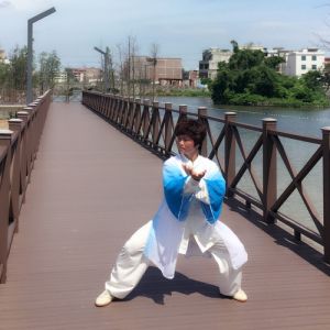 Ӧʽ̫ȭʮʽ-ɽñĽ̫ȭƵ ...