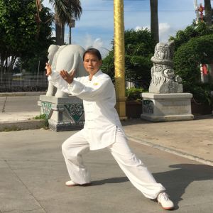 ʽ̫ȭҪʮʽ-ɽñĽ̫ȭƵ ...