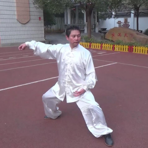 ޳ʽ̫ȭ26ʽʽ̫ -ɽñĽ̫ȭƵ ...