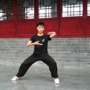 ³jʽ̫ȭ32ʽ-ɽñĽ̫ȭƵƷ