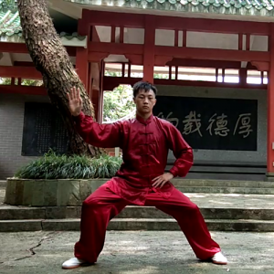 ʽ̫ȭϼһ· -ɽñĽ̫ȭƵƷ