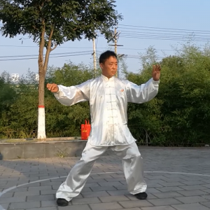 ̱ʽ̫ȭ-ɽñĽ̫ȭƵƷ