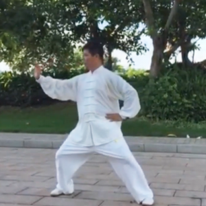 Ӫ϶ʮʽ̫ȭ-ɽñĽ̫ȭƵƷ