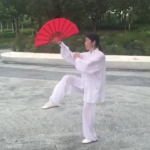 ʽ̫ȭ ʽ̫-ɽñĽ̫ȭƵƷ