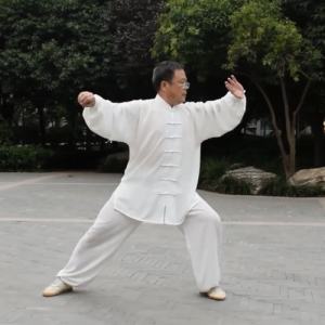 ʽ̫ȭ83ʽ-ɽñĽ̫ȭƵƷ