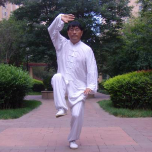 ʽ̫ȭ83ʽ-ɽñĽ̫ȭƵƷ