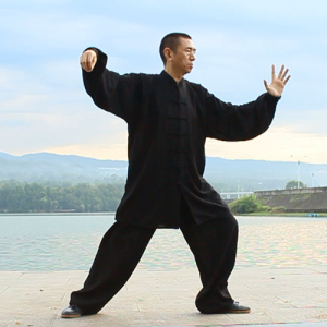 Ф¹ͳ̫ѡ28ʽ-ɽñĽ̫ȭƵƷ