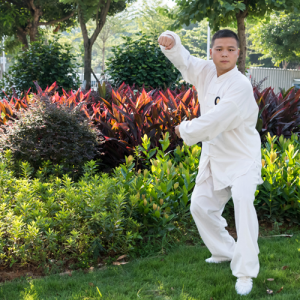 ˧̫Ų-ɽñĽ̫ȭƵƷ