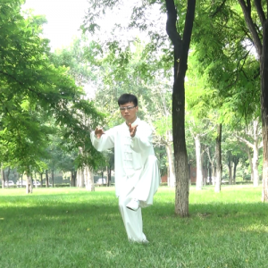 ̫ȭСһ·-ɽñĽ̫ȭƵƷ