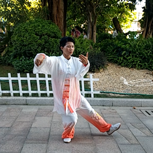 żʽ24ʽ̫ȭ -ɽñĽ̫ȭƵƷ