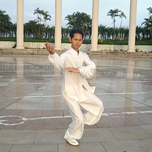 Ʒʽ24ʽ̫ȭ-ɽñĽ̫ȭƵƷ