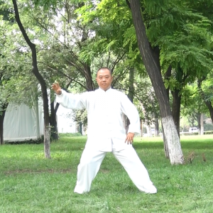 ΰ̫ȭСһ·-ɽñĽ̫ȭƵƷ