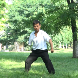 ƽ̫ȭСһ·-ɽñĽ̫ȭƵƷ