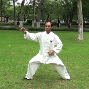 ״̫ȭСһ·-ɽñĽ̫ȭƵƷ