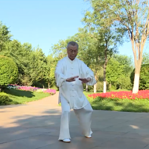 С̫ȭһ· ʽ̫ȭϼ-ɽñĽ̫ȭƵ ...