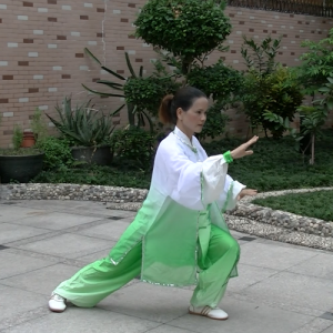 ʽ42ʽ̫ȭ-ɽñĽ̫ȭƵƷ