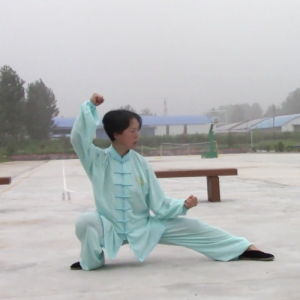 ʯʽ̫ϼһ·-ɽñĽ̫ȭƵƷ