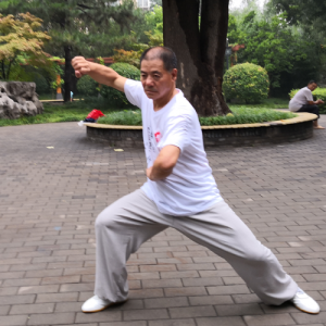 ʽ̫ȭʮʽ-Ľ̫ȭƵƷ