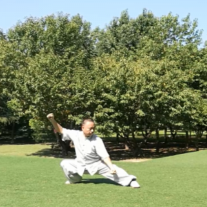 ׳ʽ̫ȭ-ɽñĽ̫ȭƵƷ