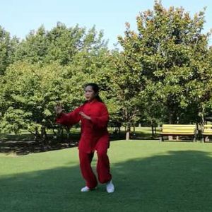 ￡ʽ̫ȭ-ɽñĽ̫ȭƵƷ