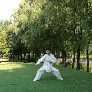 ʽ̫ȭ-ɽñĽ̫ȭƵƷ