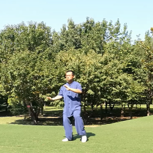 ųʽ̫ȭ-ɽñĽ̫ȭƵƷ