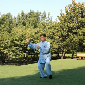 컪ʽ̫ȭ-ɽñĽ̫ȭƵƷ