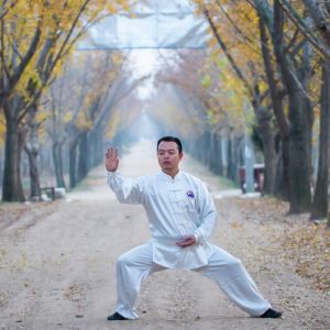 ʽͳ̫ȭ-ɽñĽ̫ȭƵƷ