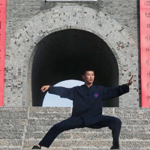 ѳγʽ̫ȭ ʽ̫-ɽñĽ̫ȭƵƷ