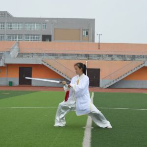 ʽ29ʽ̫-ɽñĽ̫ȭƵƷ