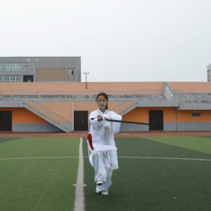 γʽ29ʽ̫-ɽñĽ̫ȭƵƷ