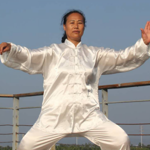 Ƽ ʽ̫ȭʮʽ-ɽñĽ̫ȭƵƷ